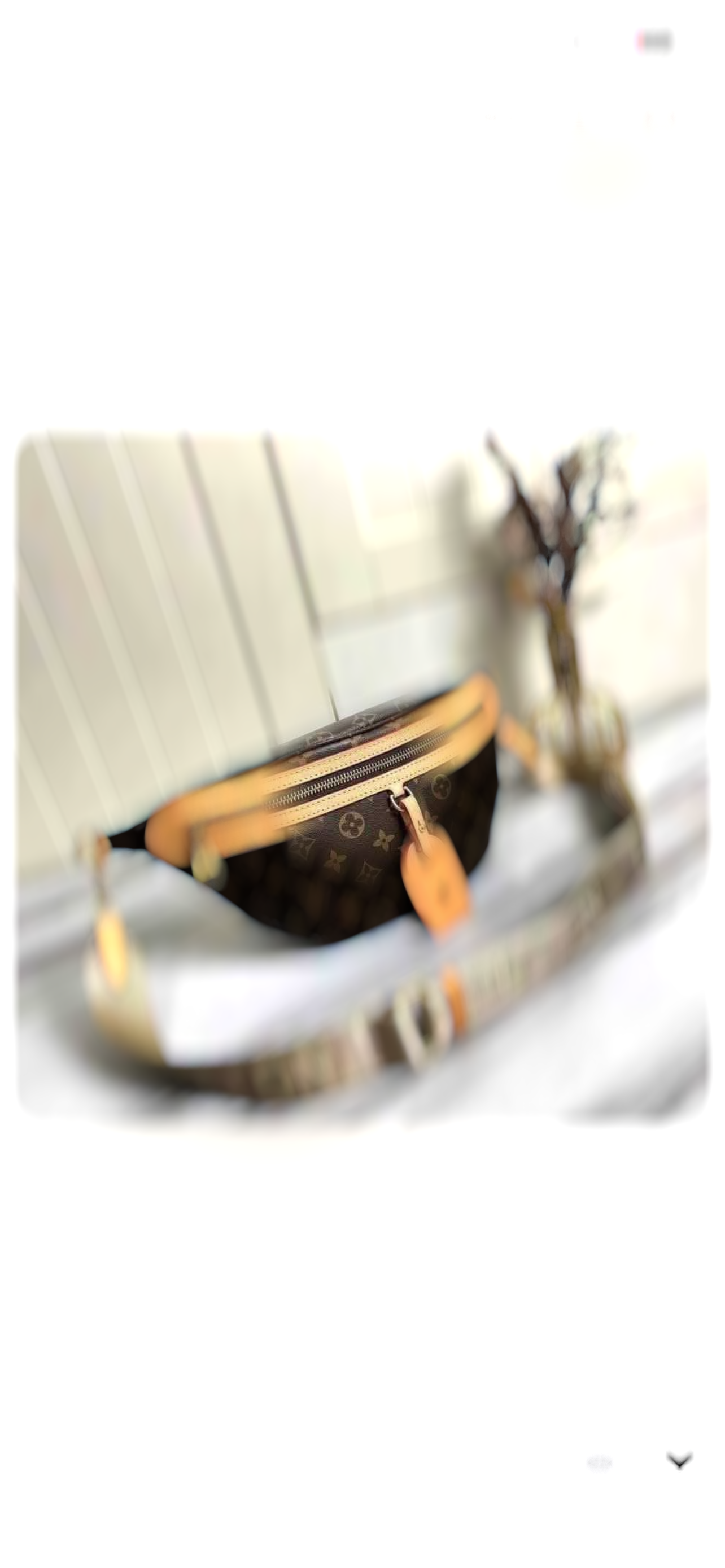 Bum bag